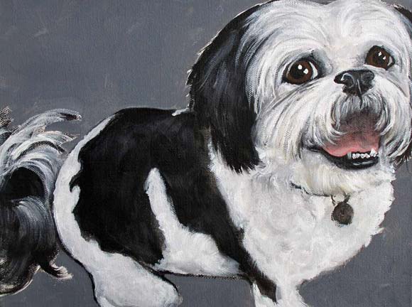 Read more about the article Pet Portrait Testimonial | Sophie