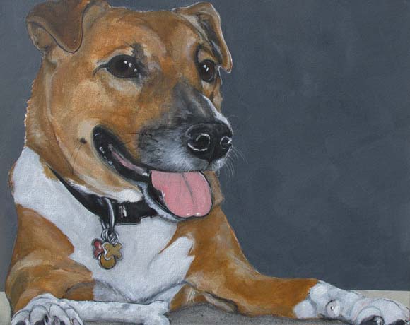 Read more about the article Pet Portrait Testimonial | Squishy